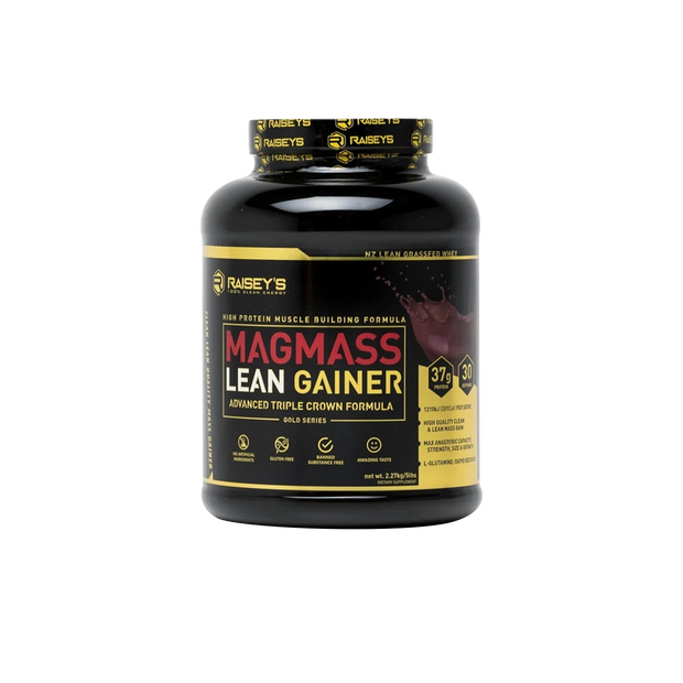 MAGMASS Lean Gainer Protein