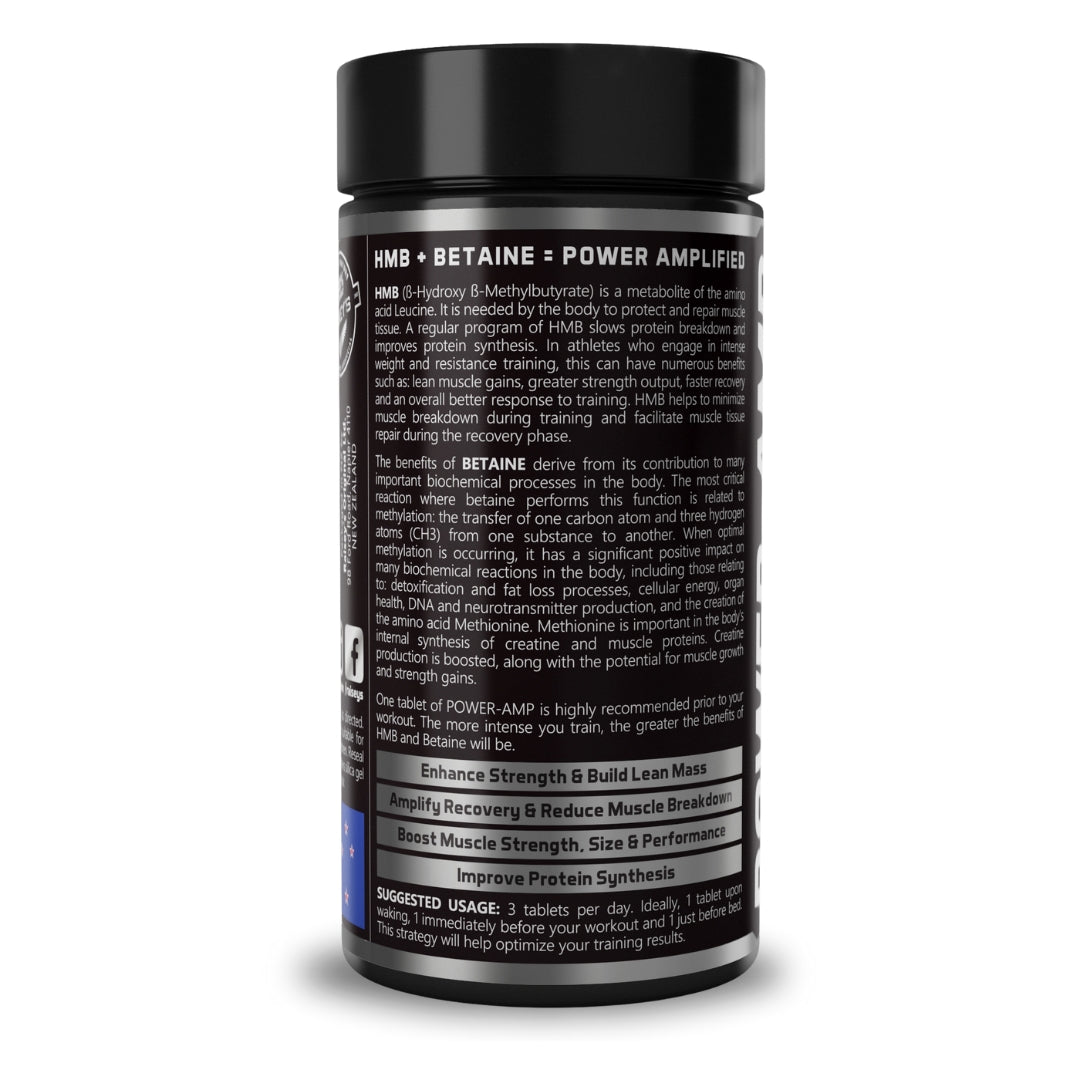 POWER-AMP Performance & Recovery Amplifier