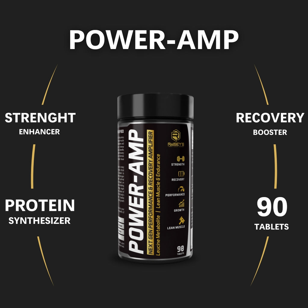 POWER-AMP Performance & Recovery Amplifier