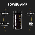 POWER-AMP Performance & Recovery Amplifier
