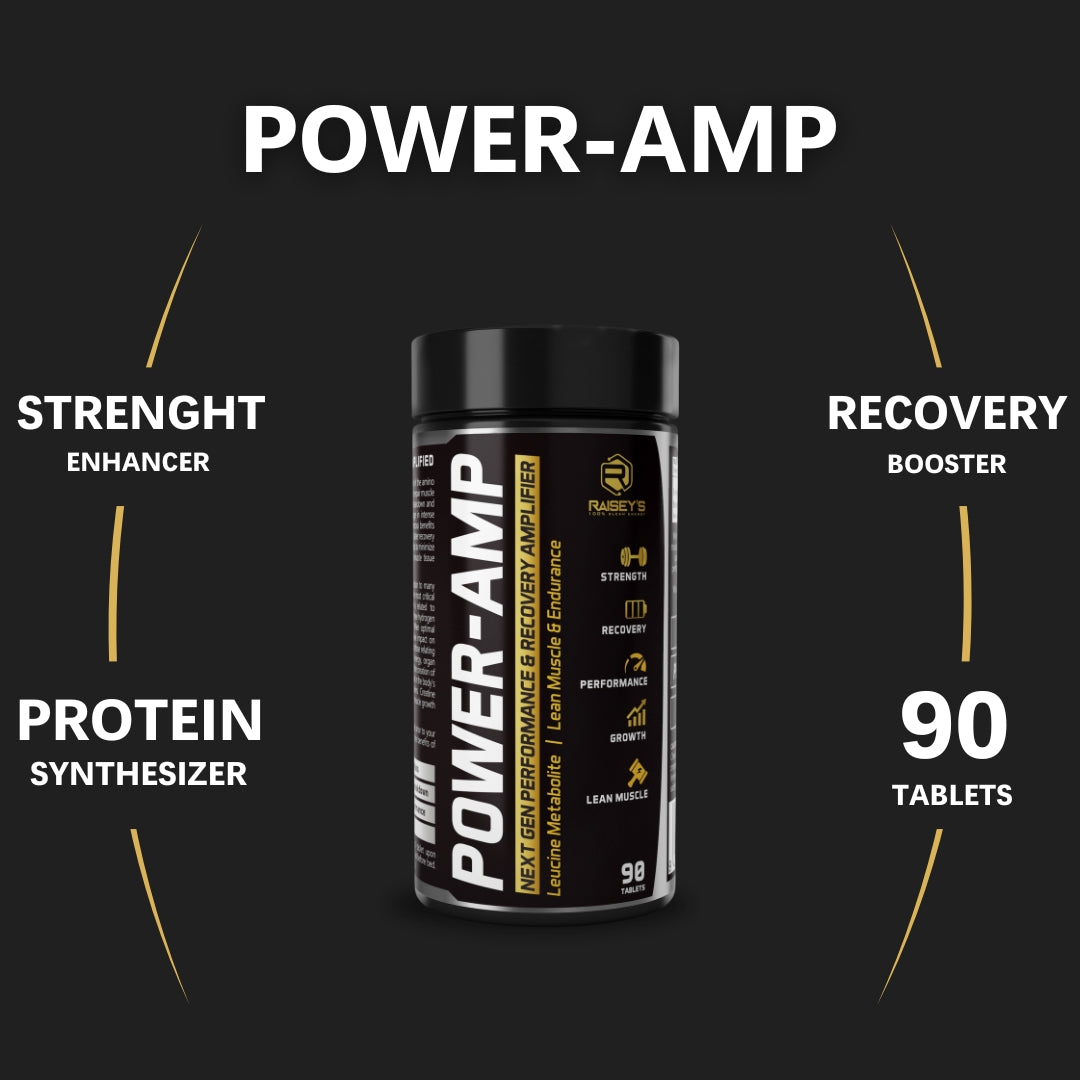 POWER-AMP Performance & Recovery Amplifier