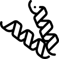 Highly Bioavailable Protein