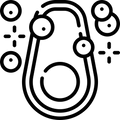 Fatty Acid Oxidation
